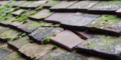 Gaer roof repair costs